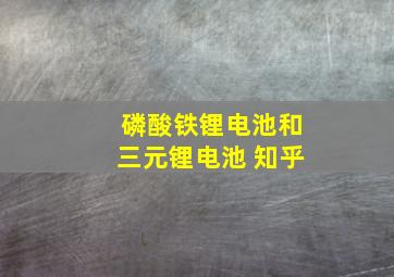 磷酸铁锂电池和三元锂电池 知乎